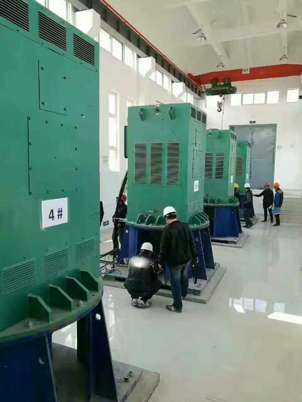 YJTFKK5002-2某污水处理厂使用我厂的立式高压电机安装现场