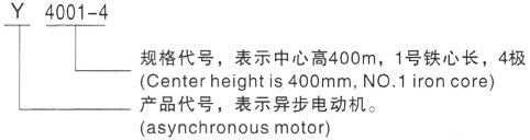 西安泰富西玛Y系列(H355-1000)高压YJTFKK5002-2三相异步电机型号说明