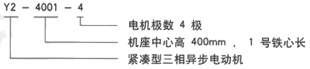 YR系列(H355-1000)高压YJTFKK5002-2三相异步电机西安西玛电机型号说明